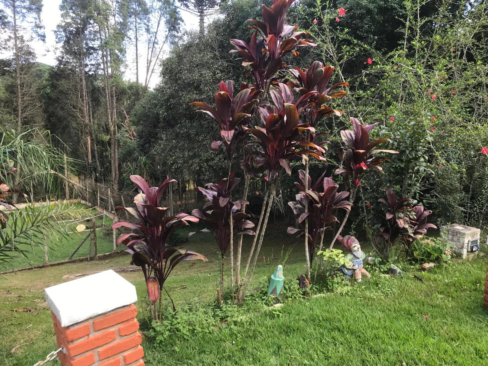 Recanto Figueiredo Ibiúna Exterior foto